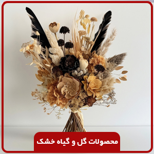 گل و گیاه خشک